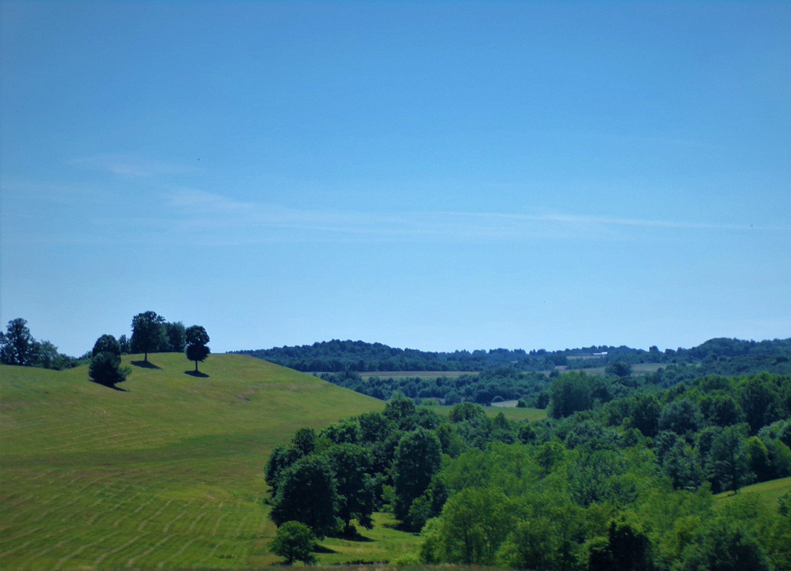 Pennsylvania pasture with trees